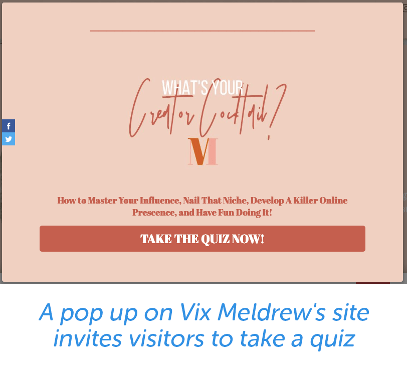 A popup on Vix Meldrew's site invites visitors to take a quiz.