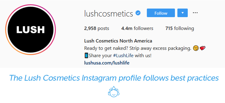 The Lush Cosmetics Instagram profile follows best practices for social media marketing.